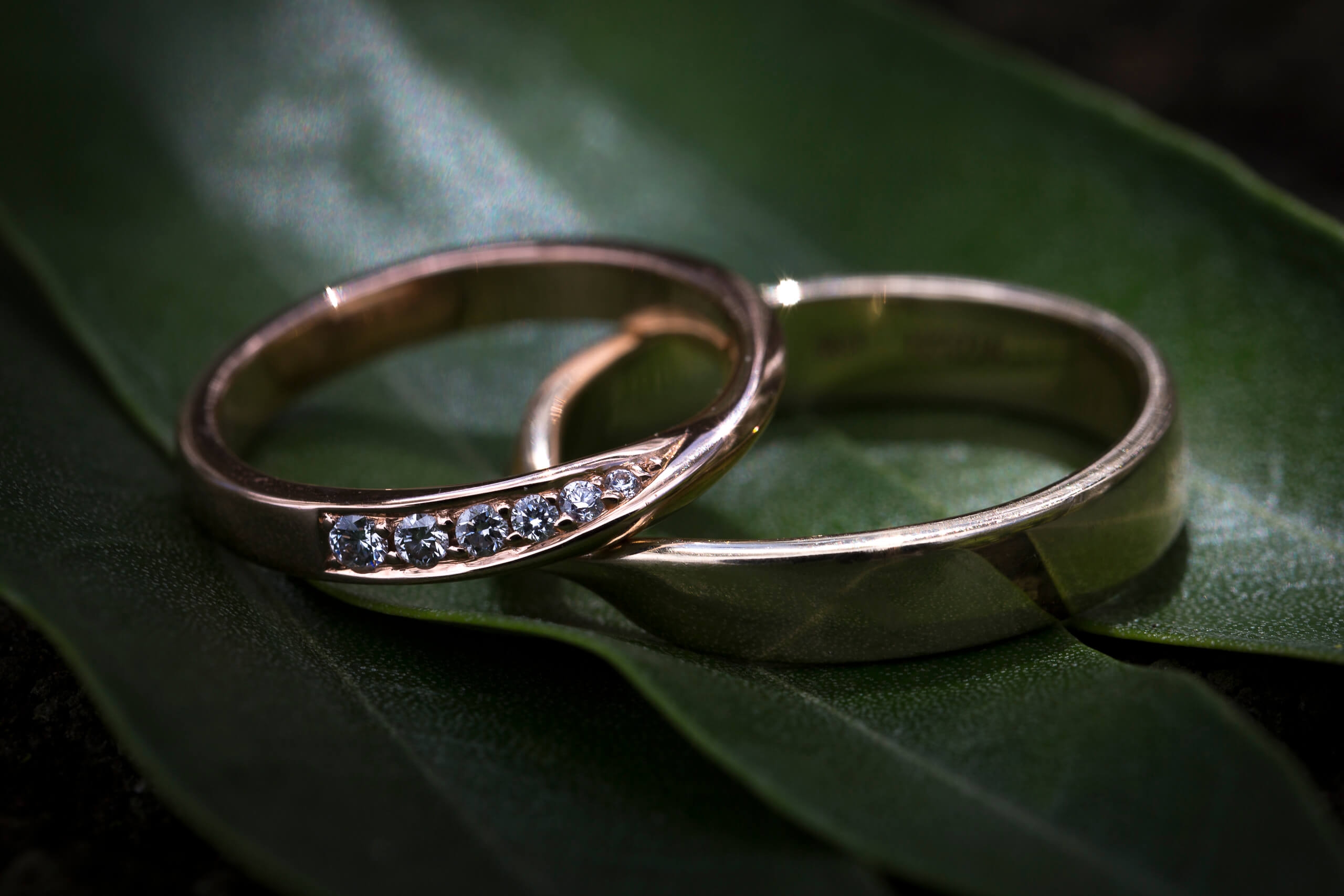 Wedding rings Stagebox Photography